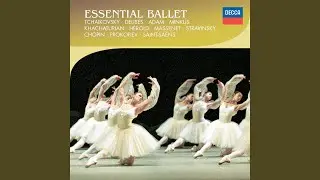 Minkus: Don Quixote: Pas de deux