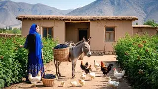Village Life In Iran: Amazing Cooking & Donkey Riding
