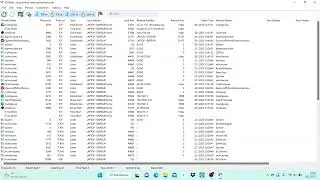 Monitor network connections using TCPView(Windows)