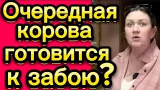 По кругу: денег наклянчит, корову купит, а потом либо продает, либо забивает🤷‍♀️🤡Деревенскийдневник