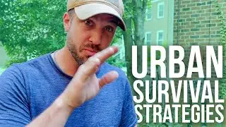 Survival Strategies in an Urban Environment