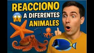 ⭐ REACCIONO 😱a diferentes 🐙 ANIMALES 🐠