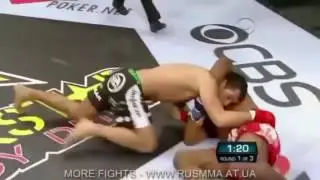 Gegard Mousasi/ 2017 