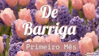 GRAVIDA DE 1-2 SEMANAS E SINTOMAS COMO DESCOBRI TAO CEDO