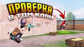 Прохожу ТДМ Проверку в Лучший Клан! Pubg Mobile