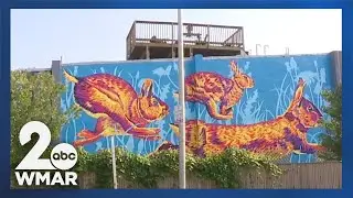 Large mural unveiled in East Baltimore mean't to slow down traffic