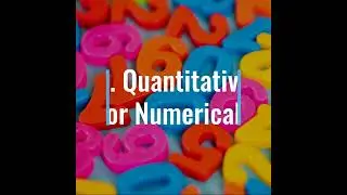 Types of Variables 