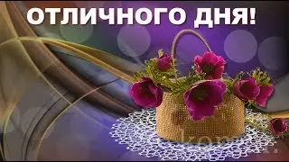 ХОРОШЕГО ДНЯ!  ОТЛИЧНОГО НАСТРОЕНИЯ!   komur