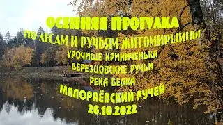 ОСЕННЯЯ ПРОГУЛКА ПО ЛЕСАМ И РУЧЬЯМ ЖИТОМИРЩИНЫ. КРИНИЧЕНЬКА - МАЛОРАЁВСКИЙ РУЧЕЙ (26.10.2022)