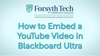 How to Embed a YouTube Video in Blackboard Ultra