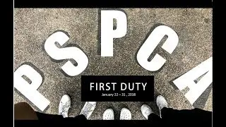 Externship | PSPCA | 