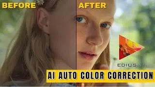 Ai Auto Color Correction in EDIUS 11 Pro | Tech Nestology