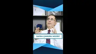 Safra çamuru nedir?  | Prof. Dr. Gürkan Yetkin | 