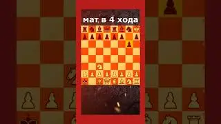 🔥 Мат в 4 хода 🔥 #chess #chesspuzzle #shortsvideo
