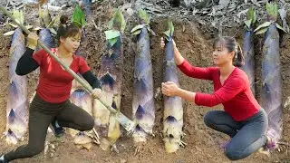 Harvesting Underground Bamboo Shoot Goes To Market Sell - Animals Care | New Free Bushcraft