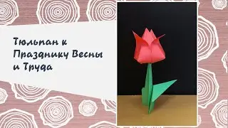 Тюльпан к Празднику Весны и Труда