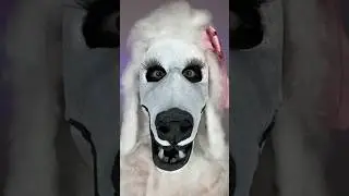 Not another furry 😳😱 