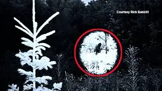 5 ЖУТКИХ СУЩЕСТВ В ЛЕСУ