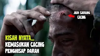 TERSESAT DAN BERTAHAN HIDUP SENDIRIAN DI HUTAN AMAZON -ALUR FILM