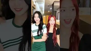 남의 집 강아지를 데려오다🐶 