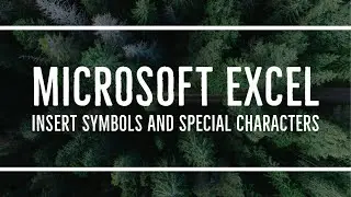 MS Excel - How to Insert Symbols and Special Characters