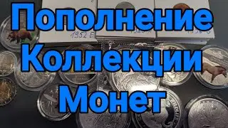 Пополнение Коллекции Монет (Май 2023 Год)