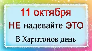 11 октября Харитонов день, что нельзя делать. Народные традиции и приметы.*Эзотерика Для Тебя*