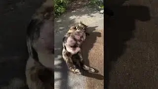 Быть добру ❤️