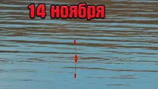 Рыбалка на поплавок 14 ноября на речке