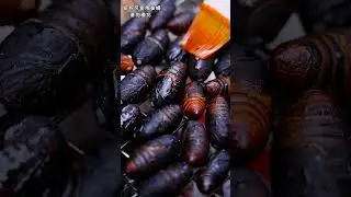 It tastes the healthiest if you raise it yourself!丨Chinese Food Eating Show丨TikTok Funny Videos