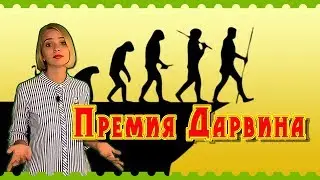 Топ 10 претендентов на премию Дарвина