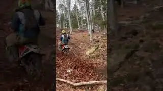 300 Pro після портину голови