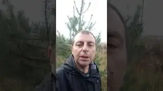 15 октября Киприан и Устинья