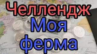 Моя Ферма Челлендж
