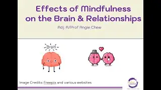 Effects of Mindfulness on the Brain and Relationships