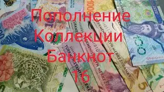 Пополнение коллекции банкнот Мира # 16
