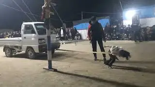 😱😱 Хавас қилсангиз арзиди