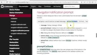 PhoneGap/Cordova Plugin Dialogs - Prompt