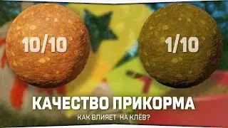 Как влияет качество прикорма на клёв в игре Русская Рыбалка 4