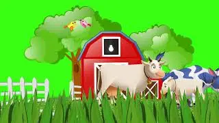 Cow green screen | cow farm house green screen | 4k