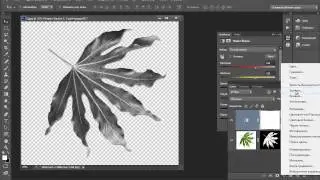 Создание собственной кисти из любого изображения  в Photoshop