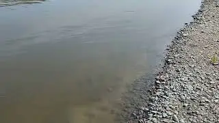 река Селенга. Бурятия