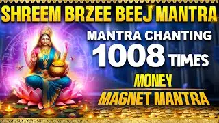 Shreem Brzee Money Magnet Mantra