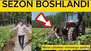 SEZON BOSHLANDI MOSH URISH HIZMATI #MOSH #URISH#BahromUz