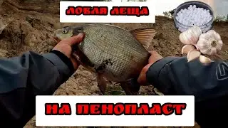 Ловля леща на донки!  Рыбалка на Оке!  Такого я не ожидал Клюет только на пенопласт с чесноком