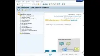 How to use report report AP_UI_RT_QUERY_USER_REPLACE