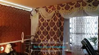 Говорящий попугай Рико Жако