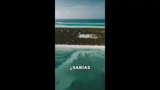 El Secreto de Isla Holbox: Un Paraíso Bohemio