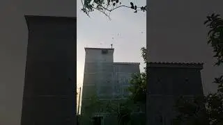 Respon Magrib Akau 22 Birahi