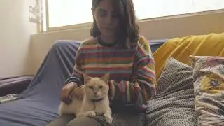 Woman Sits with Cat | Cute Cat | Girl with Cat | Download Free Videos